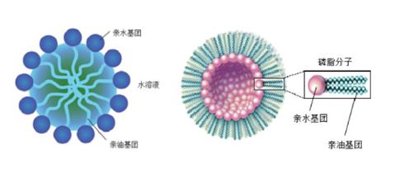 案例解读:山东安米化工烷基苯磺酸生产技术